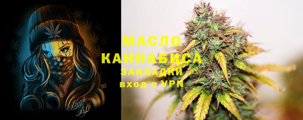 2c-b Надым