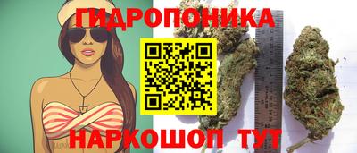 ALPHA-PVP Кунгур