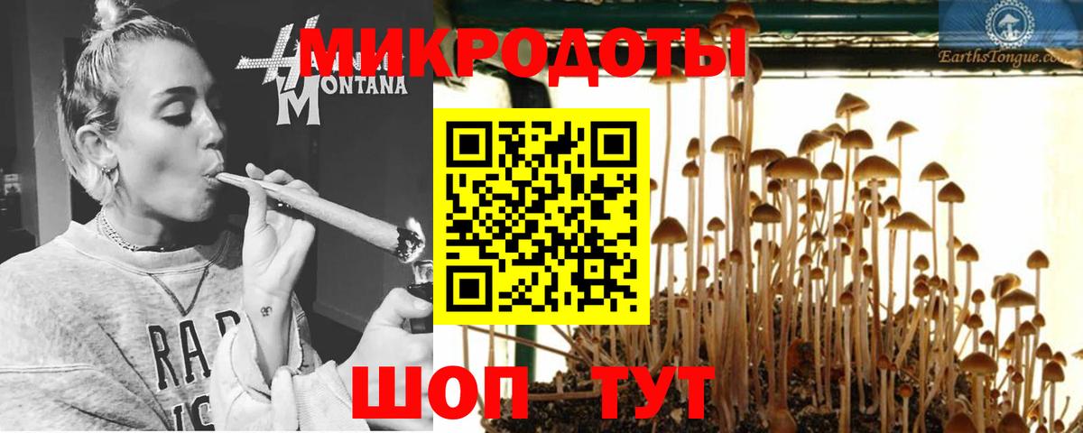 Якутск  Псилоцибиновые грибы Psilocybe  Вход с VPN 