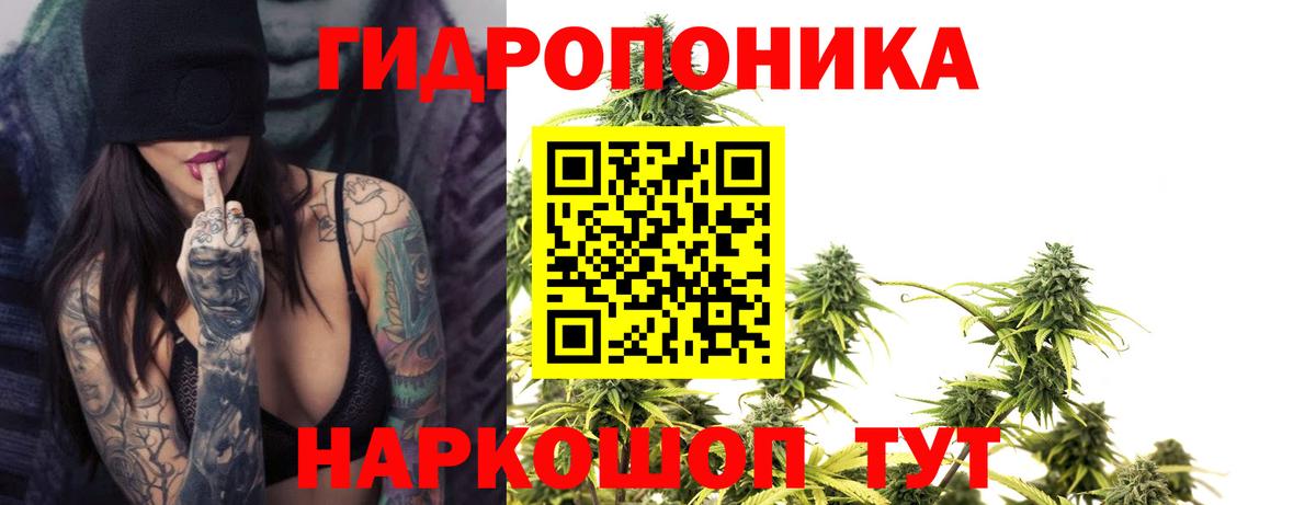 Бошки марихуана LSD WEED  Бошки Шишки MAZAR  Якутск  Вход с VPN 